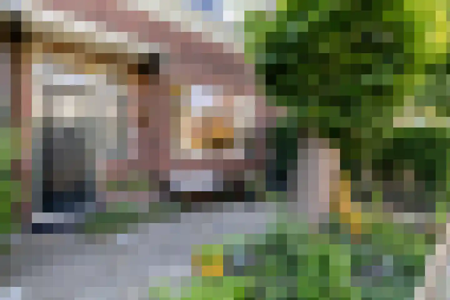 Elisabethlaan 4 Rotterdam thumbnail 5