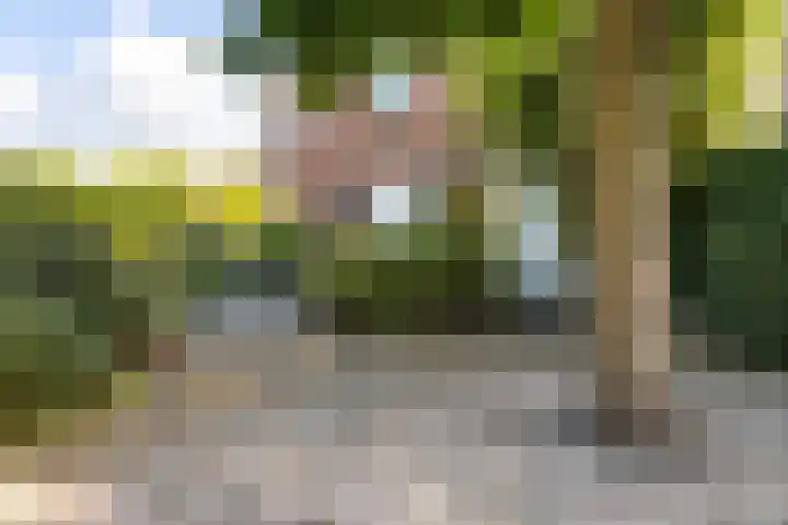 Elisabethlaan 5 Oranjewoud thumbnail 11