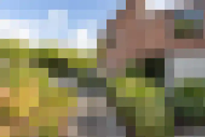 Elisabethlaan 5 Oranjewoud thumbnail 12