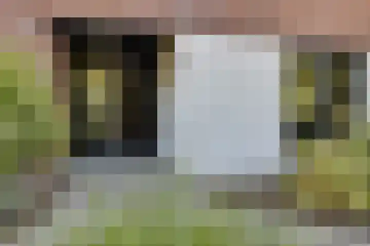 Elisabethlaan 5 Oranjewoud thumbnail 14