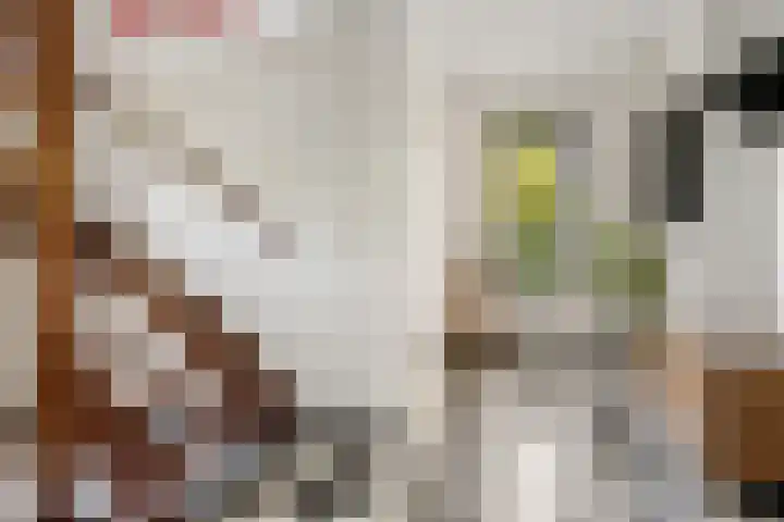 Elisabethlaan 5 Oranjewoud thumbnail 18