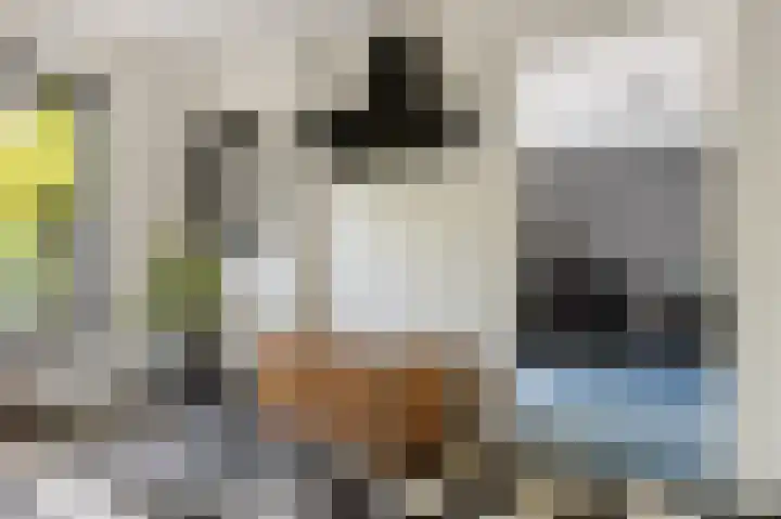 Elisabethlaan 5 Oranjewoud thumbnail 20