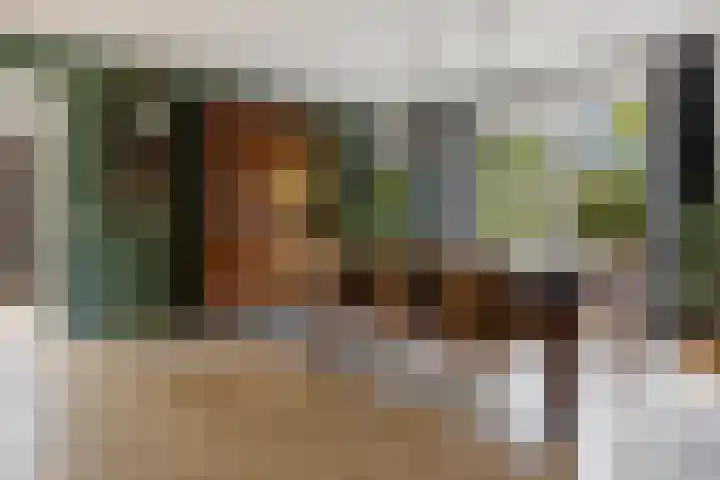 Elisabethlaan 5 Oranjewoud thumbnail 22