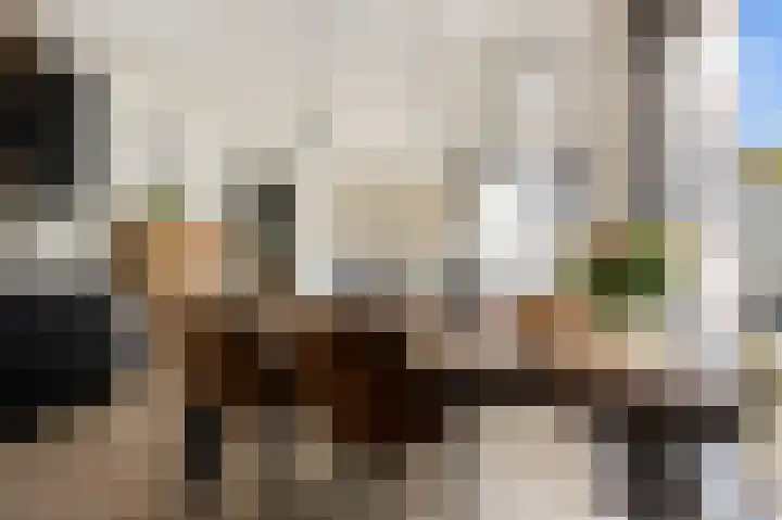 Elisabethlaan 5 Oranjewoud thumbnail 26