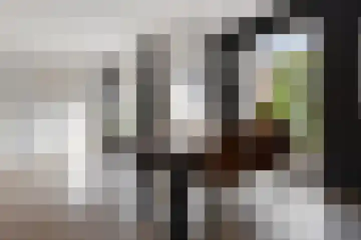 Elisabethlaan 5 Oranjewoud thumbnail 27