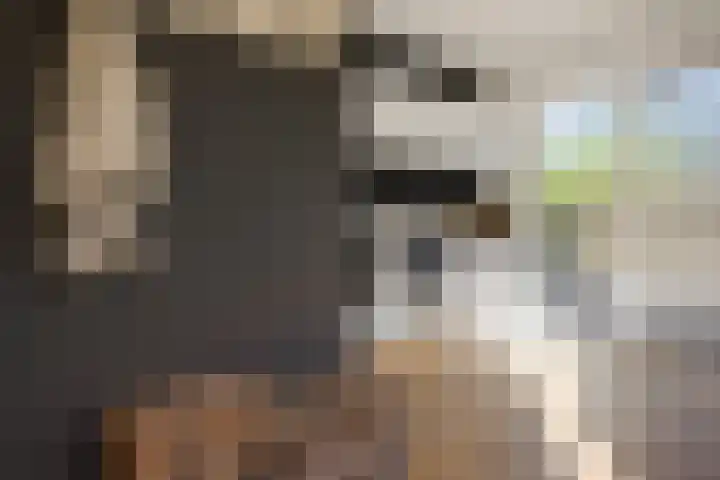 Elisabethlaan 5 Oranjewoud thumbnail 28
