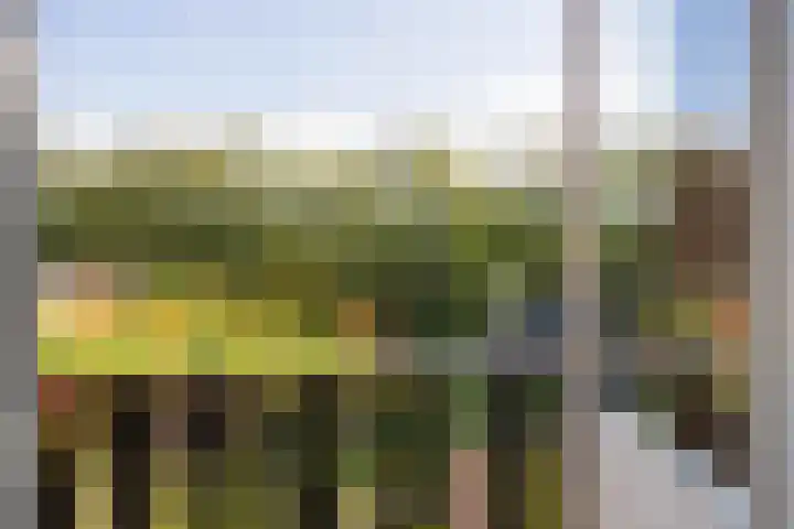 Elisabethlaan 5 Oranjewoud thumbnail 37