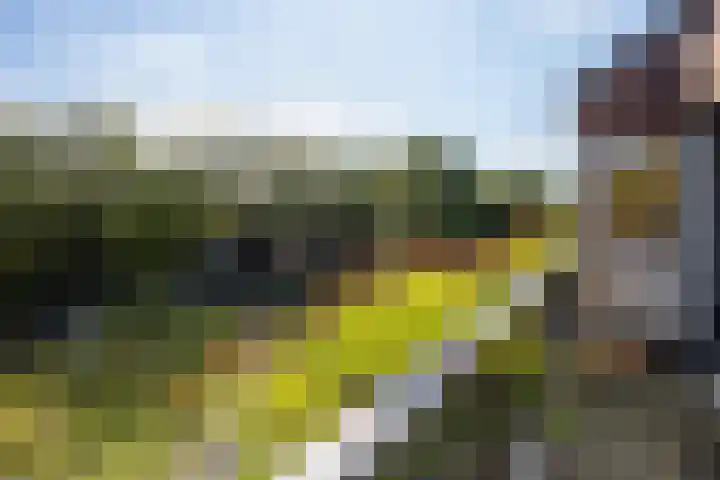 Elisabethlaan 5 Oranjewoud thumbnail 38