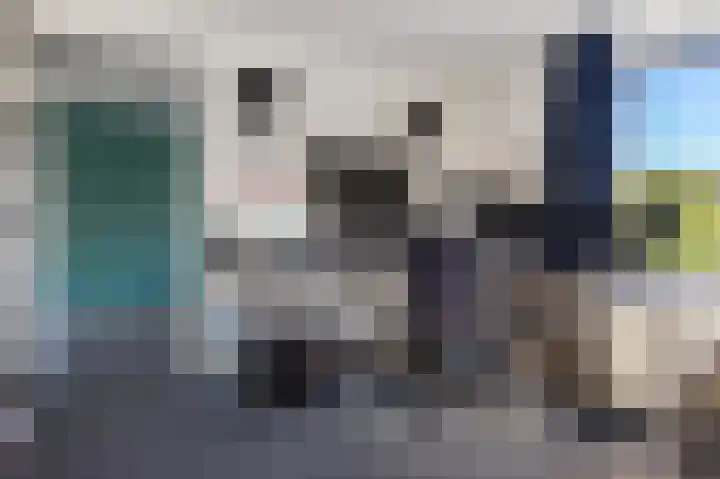 Elisabethlaan 5 Oranjewoud thumbnail 42