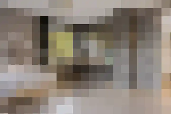 Elisabethlaan 5 Oranjewoud thumbnail 47
