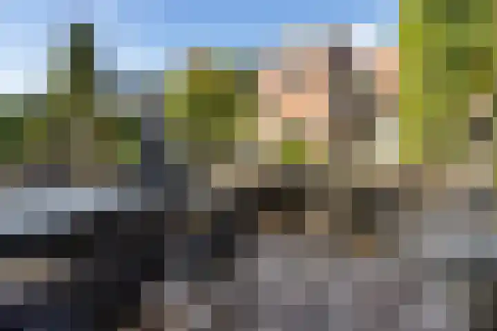 Elisabethlaan 5 Oranjewoud thumbnail 5