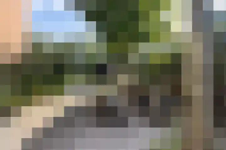 Elisabethlaan 5 Oranjewoud thumbnail 53