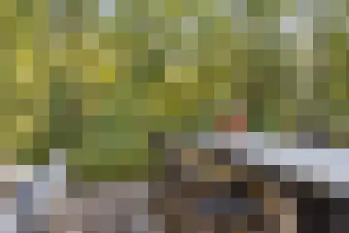Elisabethlaan 5 Oranjewoud thumbnail 54