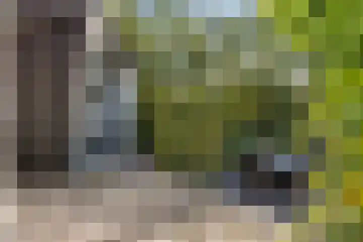 Elisabethlaan 5 Oranjewoud thumbnail 55