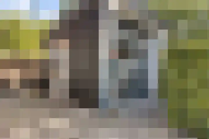 Elisabethlaan 5 Oranjewoud thumbnail 56