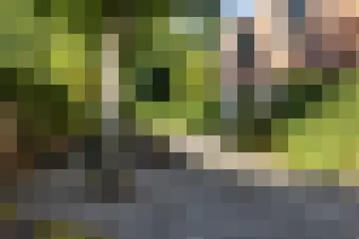 Elisabethlaan 5 Oranjewoud thumbnail 57
