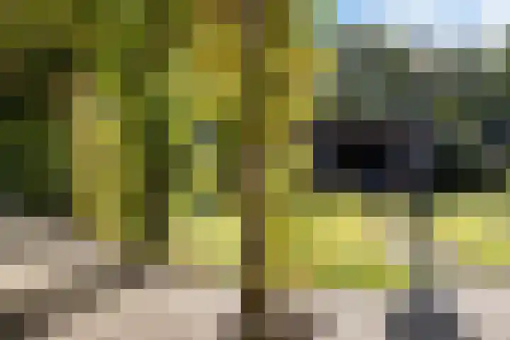 Elisabethlaan 5 Oranjewoud thumbnail 58