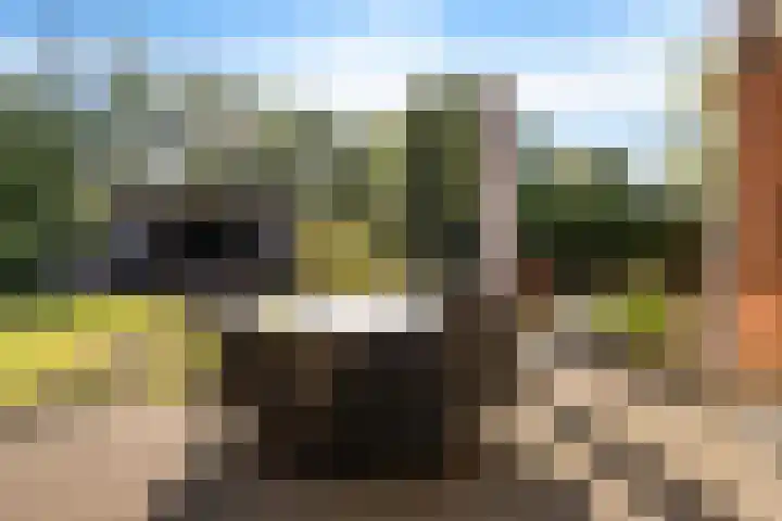 Elisabethlaan 5 Oranjewoud thumbnail 59