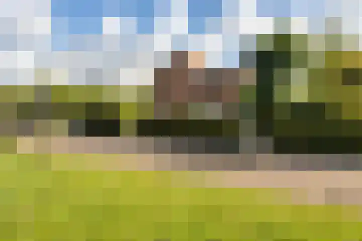 Elisabethlaan 5 Oranjewoud thumbnail 6