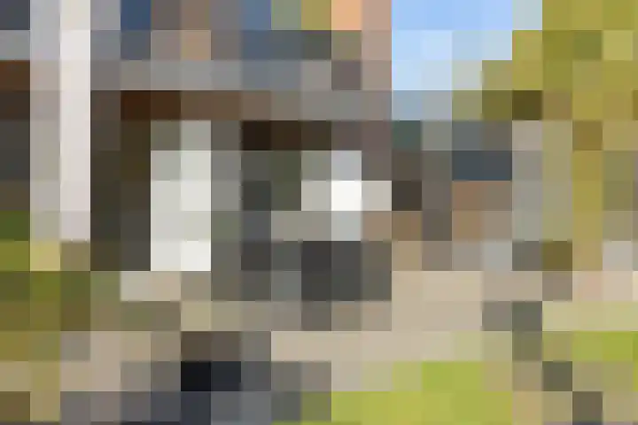 Elisabethlaan 5 Oranjewoud thumbnail 60
