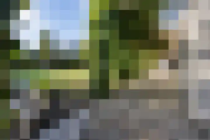 Elisabethlaan 5 Oranjewoud thumbnail 61
