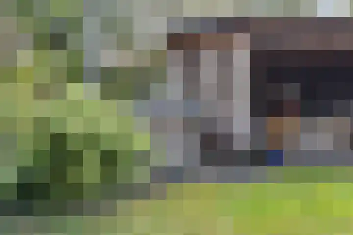 Elisabethlaan 5 Oranjewoud thumbnail 62