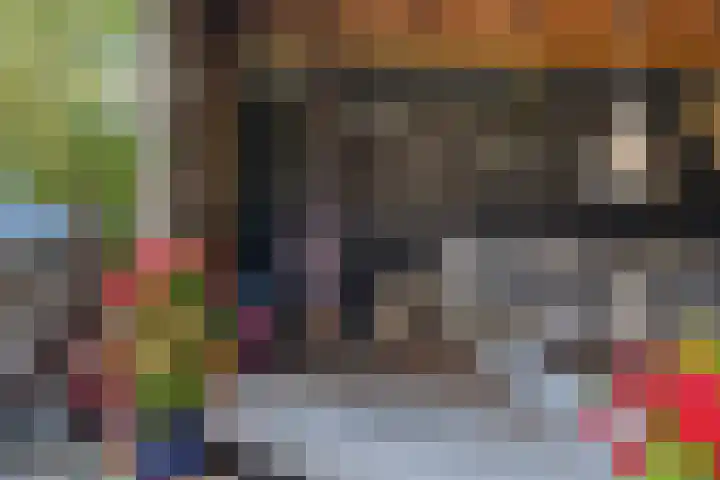 Elisabethlaan 5 Oranjewoud thumbnail 63