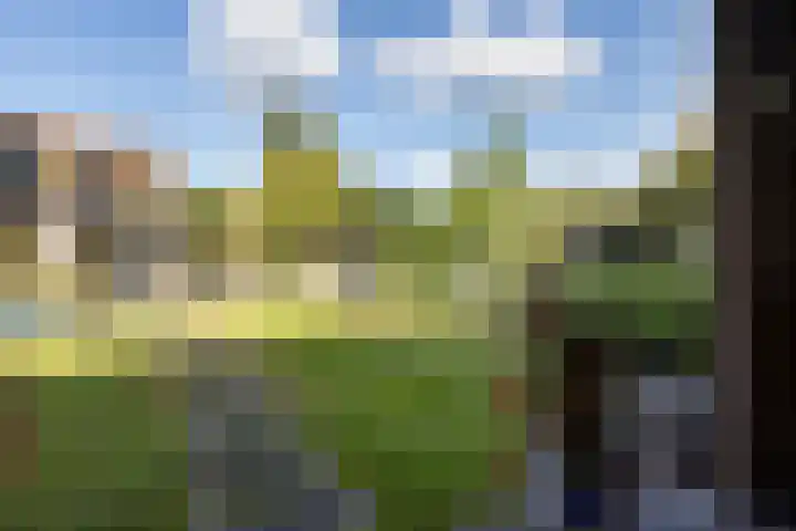 Elisabethlaan 5 Oranjewoud thumbnail 64