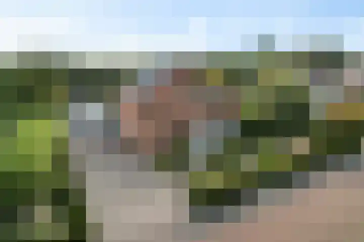 Elisabethlaan 5 Oranjewoud thumbnail 65