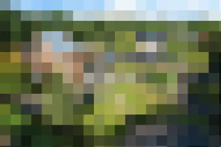 Elisabethlaan 5 Oranjewoud thumbnail 67