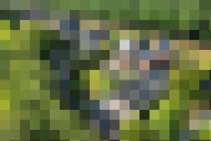 Elisabethlaan 5 Oranjewoud thumbnail 69