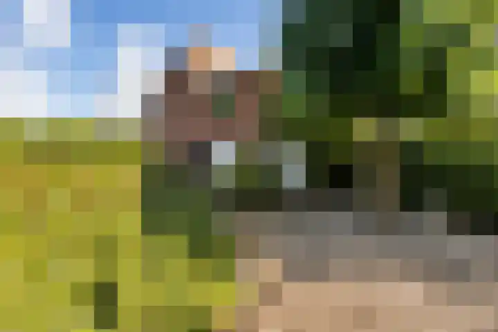 Elisabethlaan 5 Oranjewoud thumbnail 7