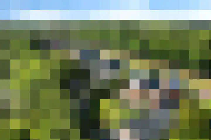 Elisabethlaan 5 Oranjewoud thumbnail 70