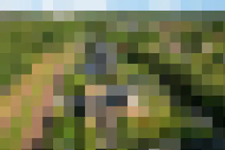 Elisabethlaan 5 Oranjewoud thumbnail 73