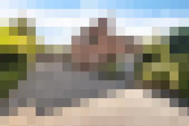 Elisabethlaan 5 Oranjewoud thumbnail 8