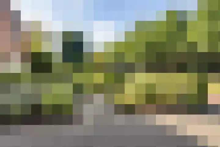 Elisabethlaan 5 Oranjewoud thumbnail 9