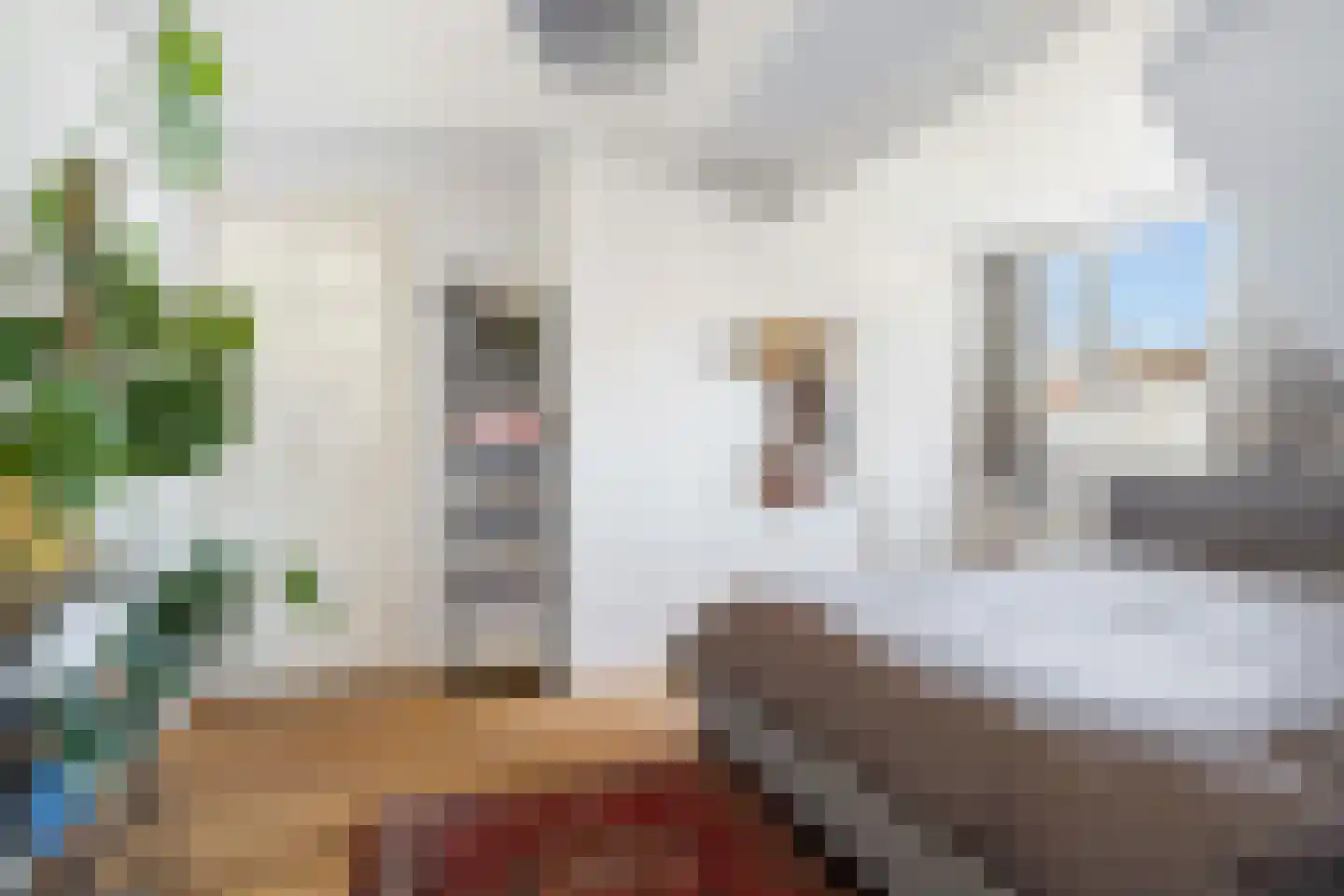 Elisabethlaan 7 Rotterdam thumbnail 24