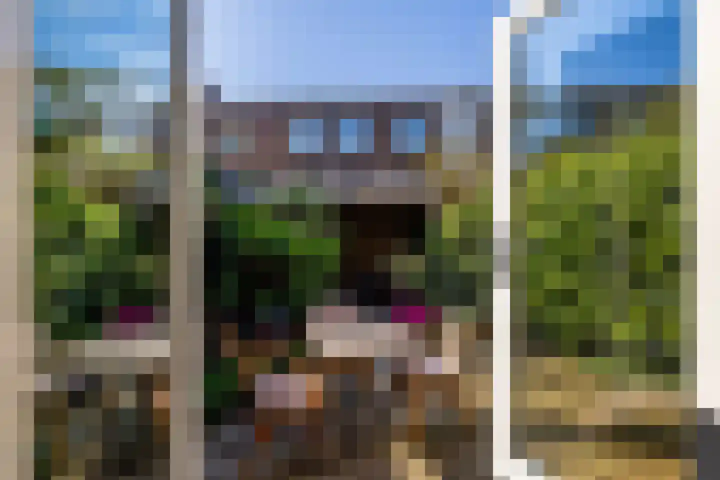 Elisabethlaan 7 Rotterdam thumbnail 33