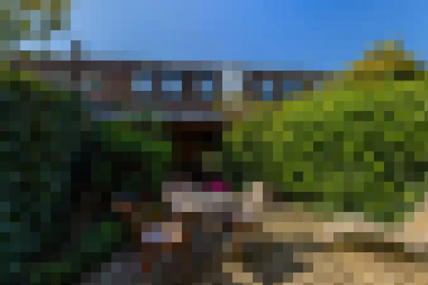 Elisabethlaan 7 Rotterdam thumbnail 34