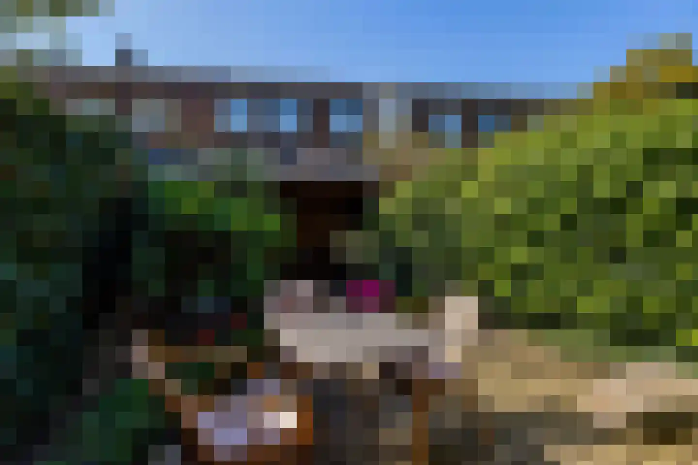Elisabethlaan 7 Rotterdam thumbnail 35