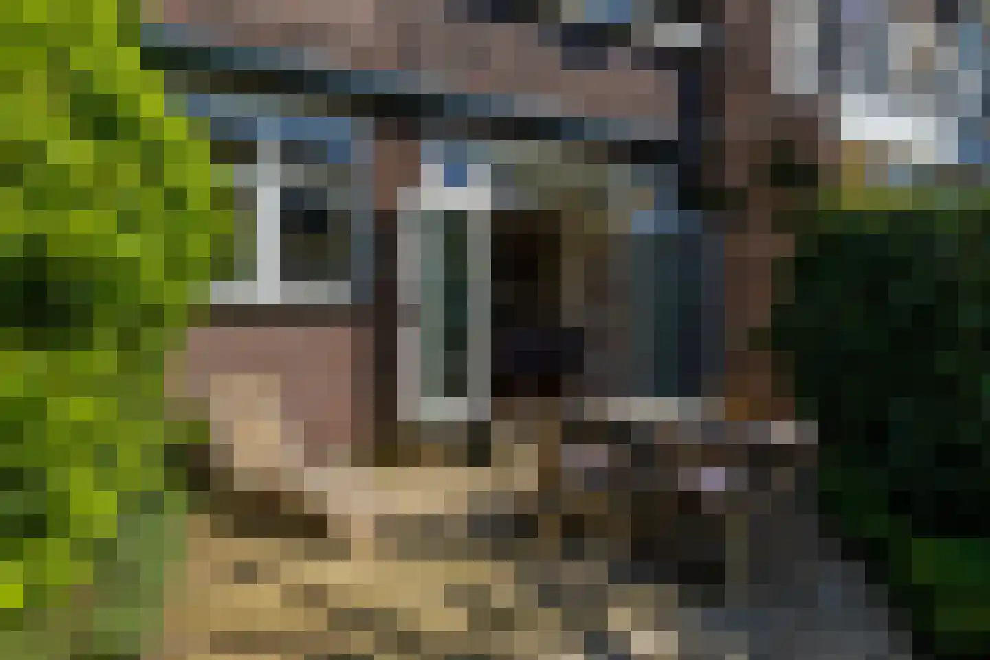 Elisabethlaan 7 Rotterdam thumbnail 38