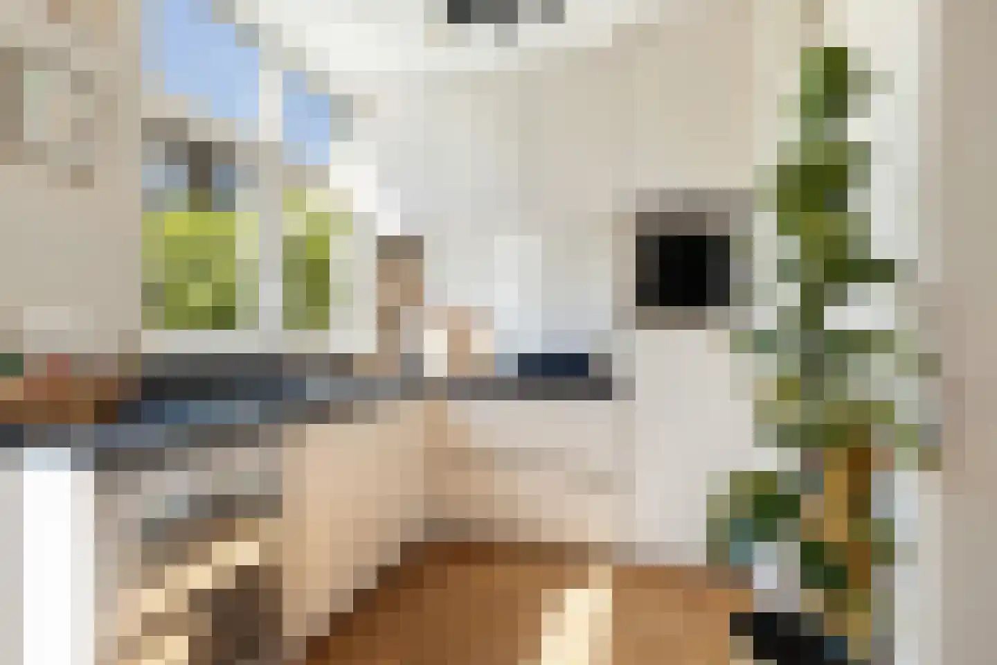 Elisabethlaan 7 Rotterdam thumbnail 4