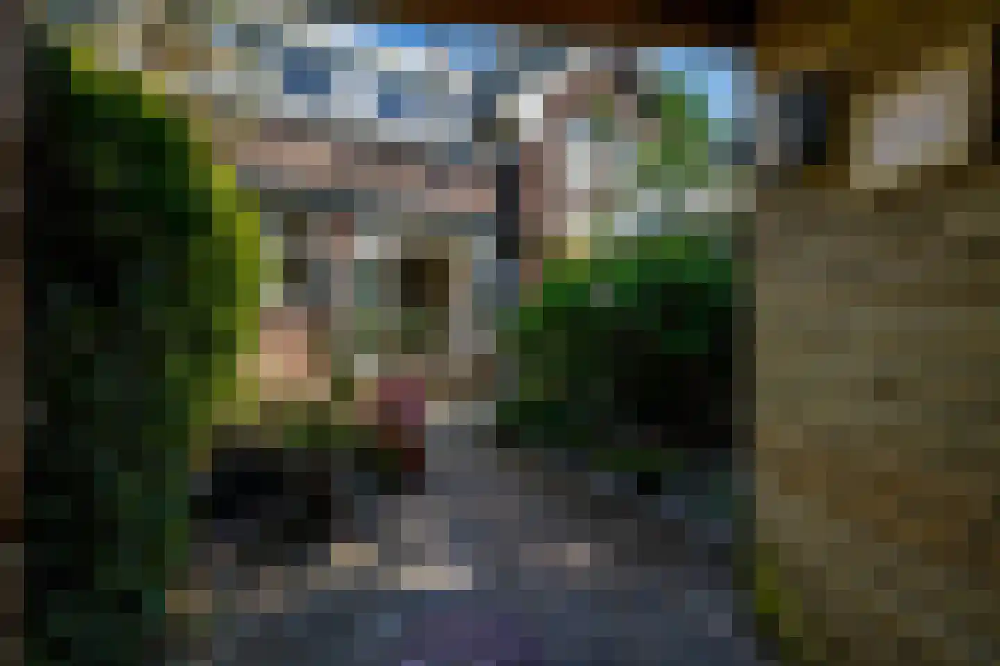 Elisabethlaan 7 Rotterdam thumbnail 40