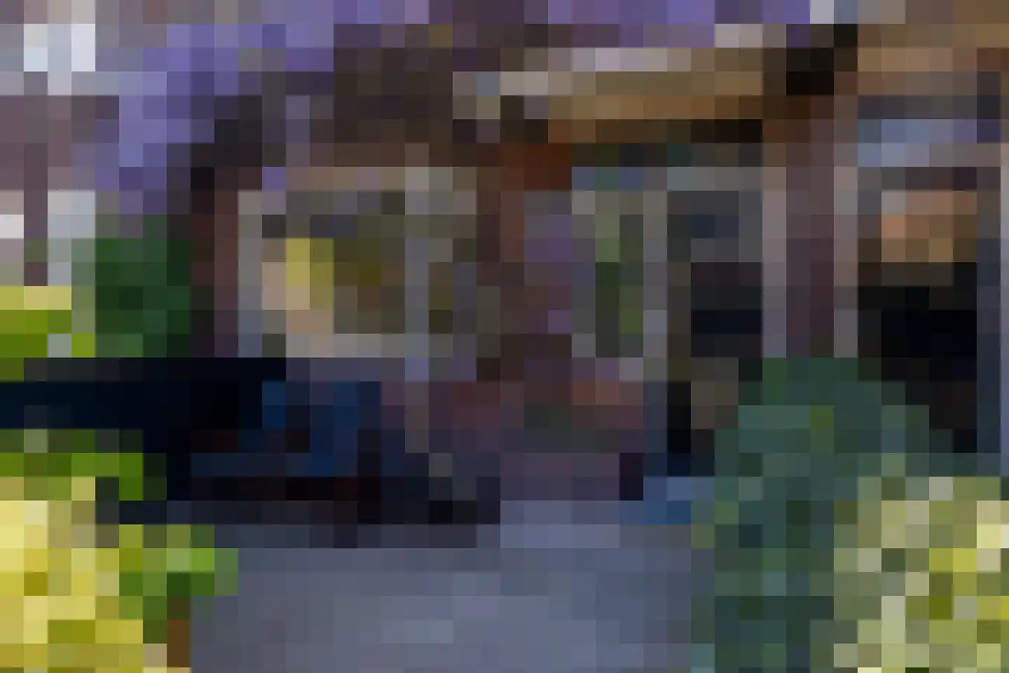 Elisabethlaan 7 Rotterdam thumbnail 48