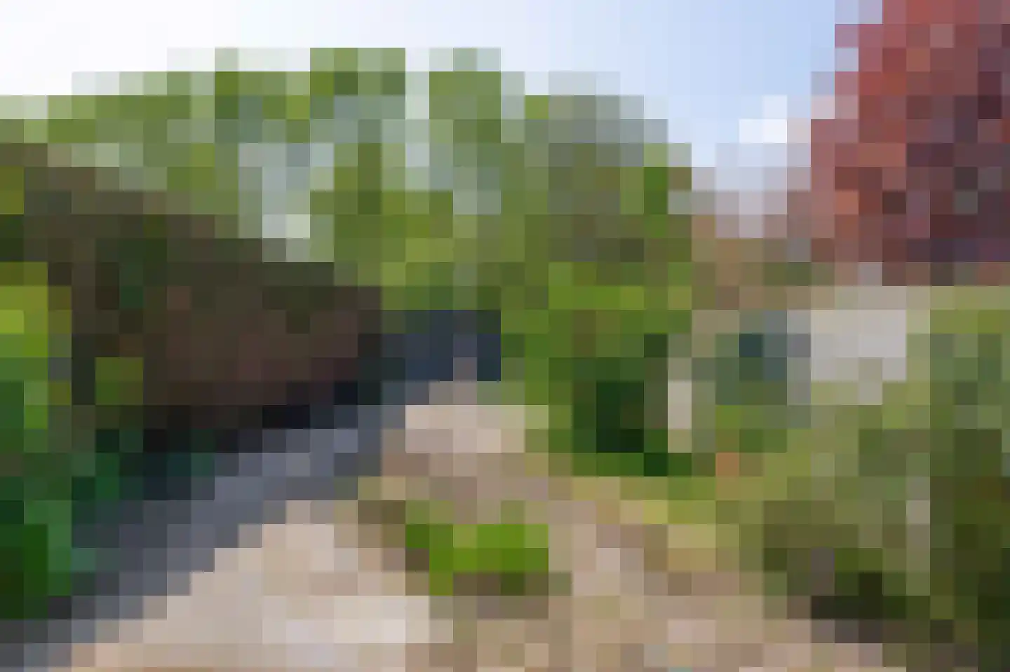 Elisabethpark 14 Hoeven thumbnail 33
