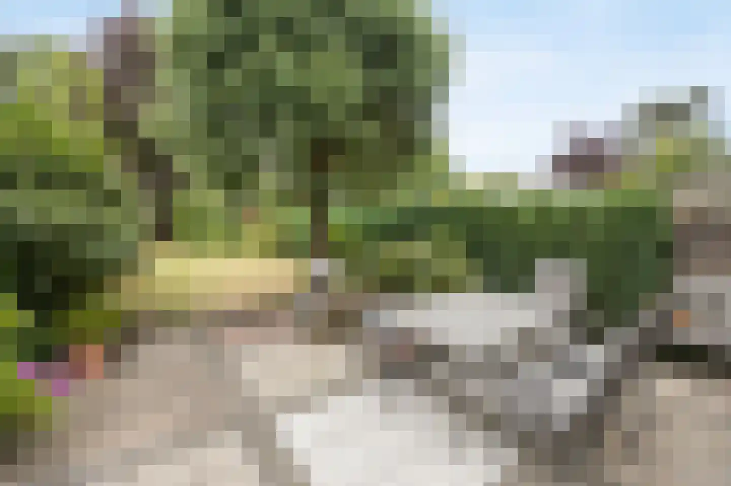 Elisabethpark 18 Hoeven thumbnail 30