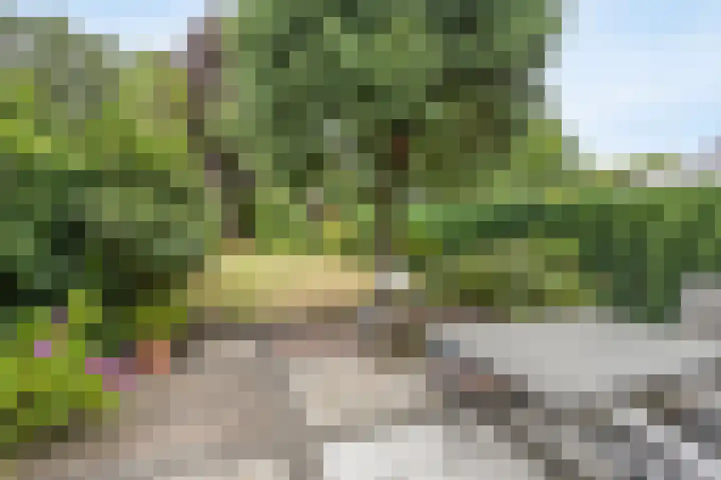 Elisabethpark 18 Hoeven thumbnail 31