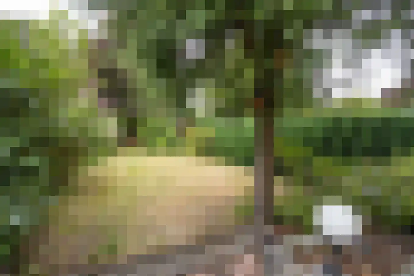 Elisabethpark 18 Hoeven thumbnail 32