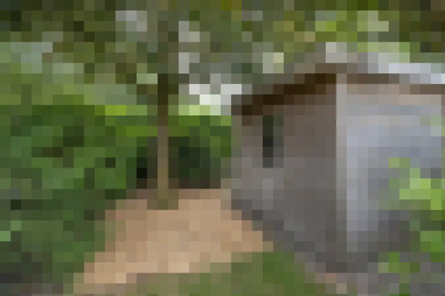 Elisabethpark 18 Hoeven thumbnail 34