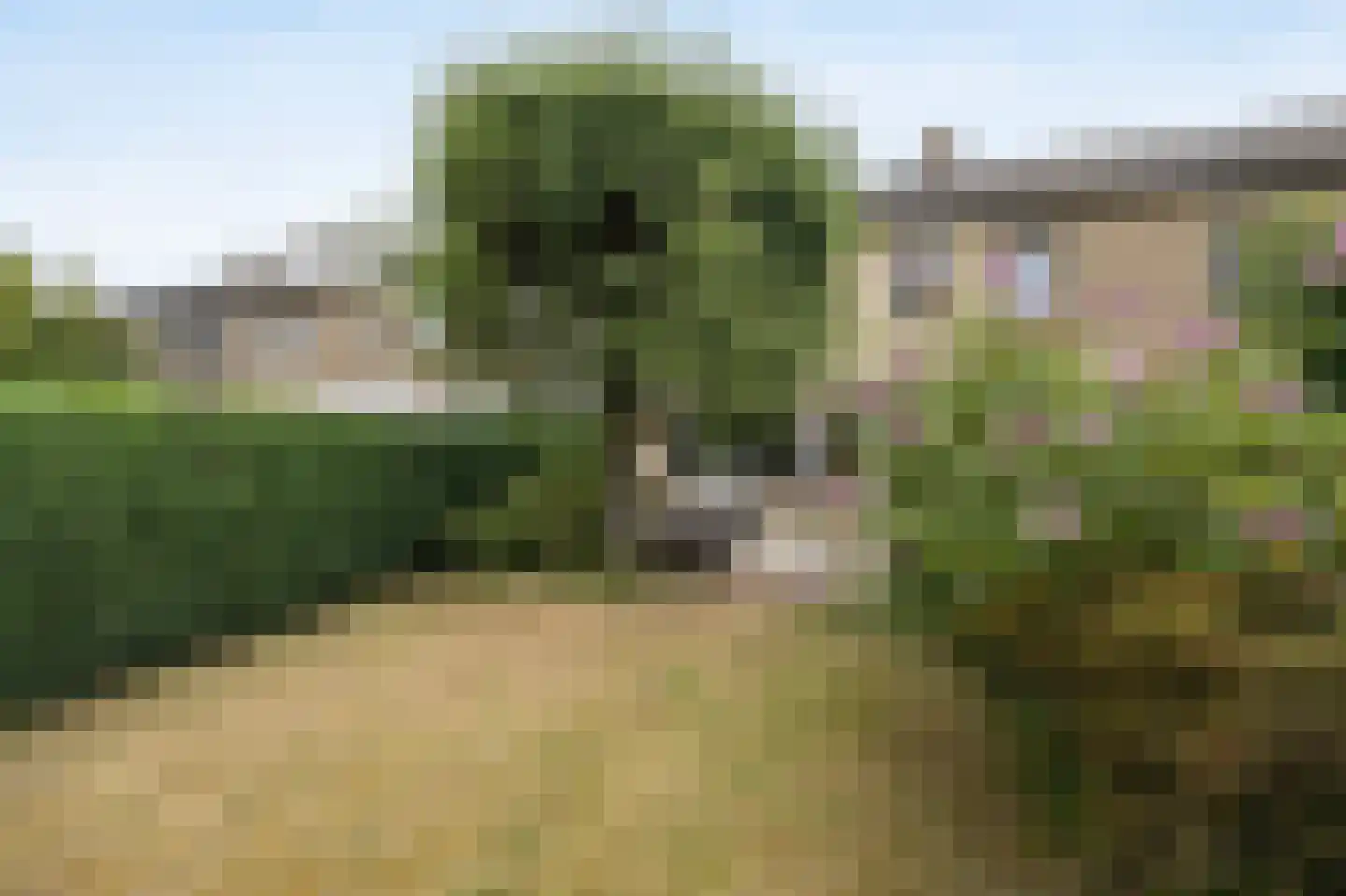 Elisabethpark 18 Hoeven thumbnail 35